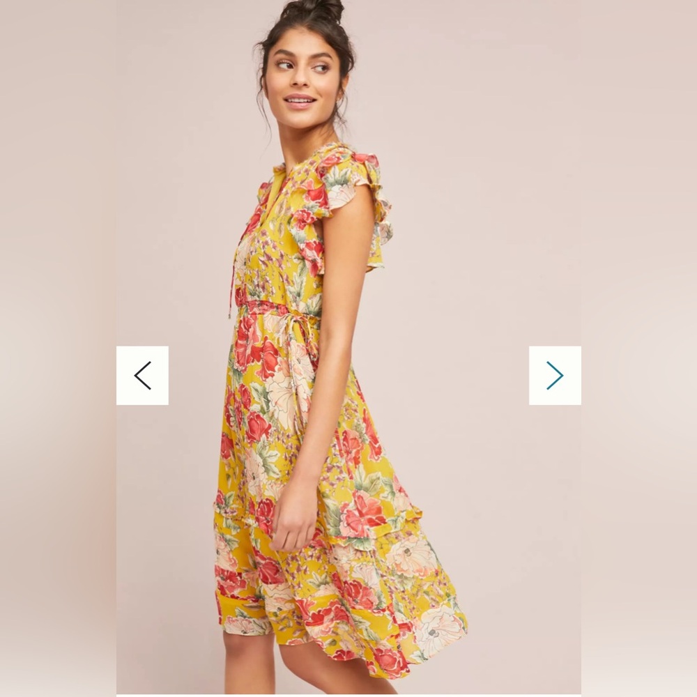 DOLAN Anthropologie Floral Ruffled Ellory Dress flutter sleeve silk size S